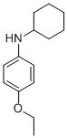 CAS#: 721-91-5, N-Cyclohexyl-4-Ethoxyaniline