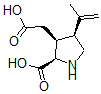 CAS#: 73209-05-9, (2R,3S,4S)-rel-2-Carboxy-4-(1-Methylethenyl)-3-Pyrrolidineacetic Acid