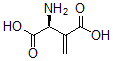 CAS 登录号：73650-42-7， (2S)-2-氨基-3-亚甲基丁二酸