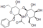 CAS 登录号：74211-30-6， N-[(2R,3R,4R,5R,6R)-5-羟基-6-(羟基甲基)-2-(苯氧基)-4-[(2R,3R,4S,5R,6R)-3,4,5-三羟基-6-(羟基甲基)四氢吡喃-2-基]氧基四氢吡喃-3-基]乙酰胺