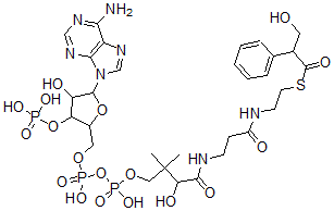 CAS 登录号：74717-87-6， S-[2-[3-[[4-[[[5-(6-氨基嘌呤-9-基)-4-羟基-3-膦酰氧基四氢呋喃-2-基]甲氧基-羟基磷酰]氧基-羟基磷酰]氧基-2-羟基-3,3-二甲基丁酰基]氨基]丙酰氨基]乙基]3-羟基-2-苯基硫代丙酸酯