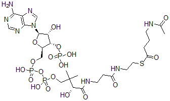 CAS#: 74833-91-3, S-[2-[3-[[(2R)-4-[[[(2R,3S,4R,5R)-5-(6-Aminopurin-9-Yl)-4-Hydroxy-3-Phosphonooxyoxolan-2-Yl]Methoxy-Hydroxyphosphoryl]Oxy-Hydroxyphosphoryl]Oxy-2-Hydroxy-3,3-Dimethylbutanoyl]Amino]Propanoylamino]Ethyl] 4-Acetamidobutanethioate