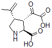 CAS#: 75232-58-5, (2S,3S,4S)-3-Oxalo-4-Prop-1-En-2-Ylpyrrolidine-2-Carboxylic Acid