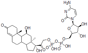 CAS#: 75252-37-8, [[(2R,3S,4S,5R)-5-(4-Amino-2-Oxopyrimidin-1-Yl)-3,4-Dihydroxyoxolan-2-Yl]Methoxy-Hydroxyphosphoryl] [2-[(10R,11S,13S,17R)-11,17-Dihydroxy-10,13-Dimethyl-3-Oxo-2,6,7,8,9,11,12,14,15,16-Decahydro-1H-Cyclopenta[a]Phenanthren-17-Yl]-2-Oxoethyl] Hydrogen Phosphate