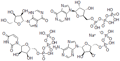 CAS 登录号：75953-34-3， 肌苷5'-(四氢三磷酸酯)与腺苷5'-(三氢二磷酸酯)钠盐,肌苷和尿苷5'-(四氢三磷酸酯)的混合物