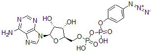 CAS 登录号：76611-59-1， [(2R,3S,4R,5R)-5-(6-氨基嘌呤-9-基)-3,4-二羟基四氢呋喃-2-基]甲基[(4-叠氮基苯氧基)-羟基磷酰]氢磷酸酯