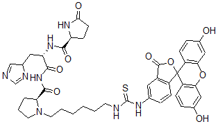 CAS 登录号：77160-98-6， (2S)-N-[(2S)-1-[[(2S)-1-[6-[(3',6'-二羟基-3-氧代螺[2-苯并呋喃-1,9'-氧杂蒽]-5-基)硫代氨基甲酰氨基]己基]吡咯烷-2-羰基]氨基]-3-(4H-咪唑-4-基)-1-氧代丙烷-2-基]-5-氧代吡咯烷-2-甲酰胺