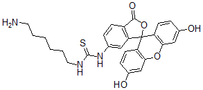 CAS 登录号：77228-88-7， 3-(6-氨基己基)-1-(3',6'-二羟基-1-氧代螺[2-苯并呋喃-3,9'-氧杂蒽]-5-基)硫脲