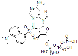 CAS#: 80214-45-5, Dansylamino deoxy-adenosine triphosphate