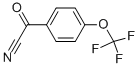 CAS 登录号：80277-36-7， 4-(三氟甲氧基)苯甲酰基氰化物