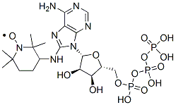 CAS 登录号：80538-64-3， 8-(2,2,6,6-四甲基哌啶-4-基-1-氧化物)氨基-腺苷三磷酸酯
