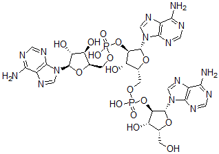CAS#: 81371-57-5, beta-D-Xylo-adenylyl-(2'-5')-beta-D-xylo-adenylyl-(2'-5')-beta-D-xylo-Adenosine