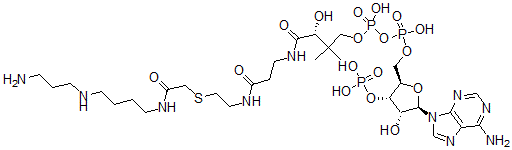 CAS#: 83889-68-3, N-(2-(S-Coenzyme A)Acetyl)Spermidine
