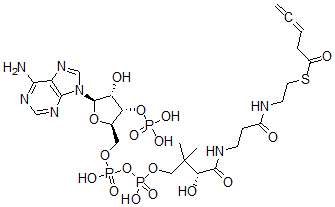 CAS#: 84061-72-3, 3,4-Pentadienoyl-Coenzyme A