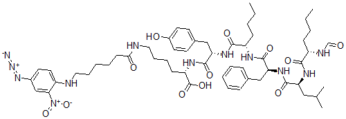 CAS#: 84311-50-2, N-Formyl-norleucyl-leucyl-phenylalanyl-norleucyl-tyrosyl-N-epsilon-(6-(4'-azido-2'-nitrophenylamino)hexanoyl)lysine