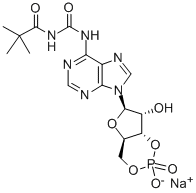 CAS 登录号：84433-46-5， N-[[叔丁基氨基]羰基]-腺苷环-3',5'-(氢磷酸酯)