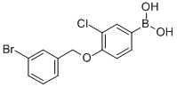 CAS 登录号：849062-25-5， B-[4-[(3-溴苯基)甲氧基]-3-氯苯基]-硼酸