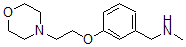 CAS 登录号：857284-10-7， N-甲基-3-[2-(4-吗啉基)乙氧基]-苯甲胺