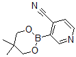 CAS 登录号：868944-72-3， 3-(5,5-二甲基-1,3,2-二氧硼杂环己烷-2-基)-4-吡啶甲腈
