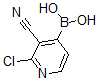 CAS 登录号：878194-88-8， 2-氯-3-氰基吡啶-4-基硼酸