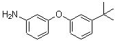 CAS#: 887579-79-5, 3-[3-(2-Methyl-2-propanyl)phenoxy]aniline