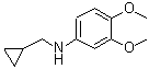 CAS 登录号：887588-08-1， N-(环丙基甲基)-3,4-二甲氧基-苯胺