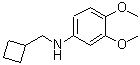 CAS 登录号：887588-17-2， N-(环丁基甲基)-3,4-二甲氧基苯胺