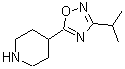 CAS 登录号：902837-35-8， 4-(3-异丙基-1,2,4-恶二唑-5-基)哌啶