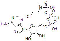 CAS 登录号：90906-29-9， 腺苷三磷酸 gamma-(N-(2-氯乙基)-N-甲基)酰胺