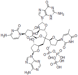 CAS 登录号：91126-91-9， 脱氧-(腺苷酰-鸟苷酰-胞苷酰-胸苷)