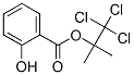 CAS 登录号：94006-13-0， 2-羟基-苯甲酸 2,2,2-三氯-叔丁酯