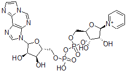CAS 登录号：94516-25-3， 吡啶 1,N(6)-乙烯桥腺嘌呤二核苷酸