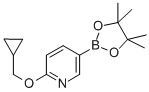 CAS 登录号：947191-69-7， 6-环丙基甲氧基吡啶-3-硼酸频哪醇酯