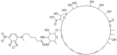 CAS#: 96475-98-8, Nbd-Nystatin