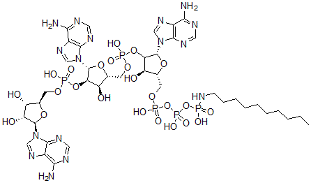 CAS 登录号:96902-45-3, P(1)-腺苷酰-5'-2'-腺苷酰-5'-2'-腺苷-P(3)-N-癸基氨基三磷酸酯