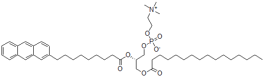 CAS#: 97992-77-3, 1-Palmitoyl-2-(9-(2-Anthryl)Nonanoyl)Glycero-3-Phosphocholine