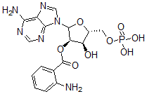 CAS 登录号：98033-20-6， 2'-O-氨茴酰腺苷单磷酸酯