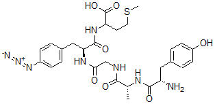 CAS 登录号：98749-66-7， 2-丙氨酰-4-(4-叠氮基-苯丙氨酰)-蛋氨酰-脑啡肽