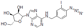 CAS 登录号：98849-99-1， N(6)-(3-碘-4-叠氮基苄基)腺苷