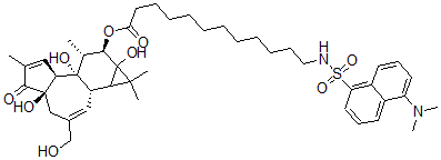 CAS 登录号：98897-17-7， 12-O-(12-N-丹磺酰氨基月桂酰基)佛波醇