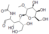CAS 登录号：99933-16-1， N-乙酰基-2'-O-甲基乳糖胺