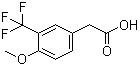 structure of CAS# 1000566-45-9, 4-Methoxy-3-(trifluoromethyl)benzeneacetic acid