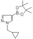1-(环丙基甲基)-1H-吡唑-4-硼酸频哪醇酯分子结构 (CAS 1000801-75-1)