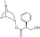 structure of CAS# 101-31-5, L-天仙子胺