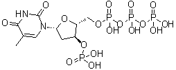胸苷 5'-(四氢三磷酸酯) 3'-(磷酸二氢酯)分子结构 (CAS 1015762-49-8)
