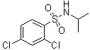 CAS # 1018135-23-3, 2,4-Dichloro-N-(1-methylethyl)benzenesulfonamide