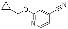 2-(环丙基甲氧基)-4-吡啶甲腈分子结构 (CAS 1019568-08-1)