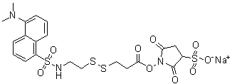 CAS # 1024168-37-3, 3-[[2-[[[5-(Dimethylamino)-1-naphthalenyl]sulfonyl]amino]ethyl]dithio]propanoic acid 2,5-dioxo-3-sulfo-1-pyrrolidinyl ester sodium salt (1:1)