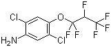 structure of CAS# 103015-84-5, 2,5-二氯-4-(1,1,2,3,3,3-六氟丙氧基)苯胺