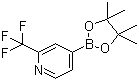 structure of CAS# 1036990-42-7, 2-三氟甲基吡啶-4-硼酸频哪醇酯